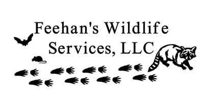 Feehan's Wildlife Services, LLC