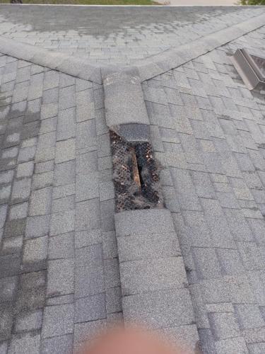 damage-done-from-coons-on-roof