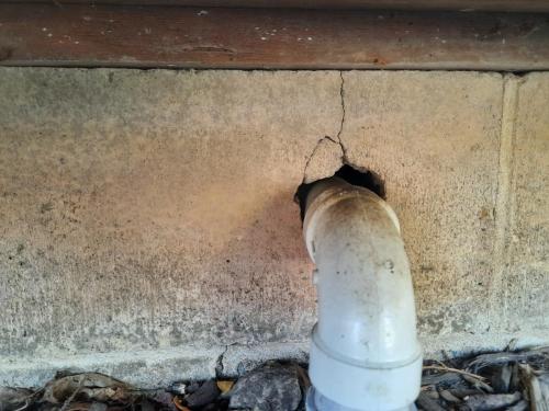 enrty-hole-into-house-mostly-used-by-mice