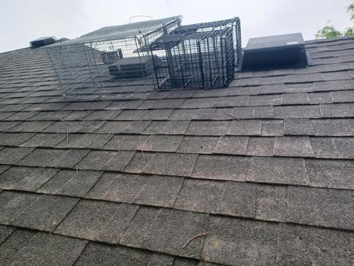 vent-trap-on-outside-of-home